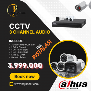 CCTV 2 CHANNEL AUDIO DAHUA